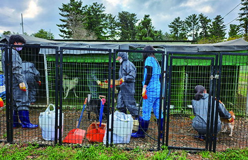 12월 2일 유기동물 보호소에서 ‘유자’ 동아리원들이 봉사활동을 진행하고 있다.